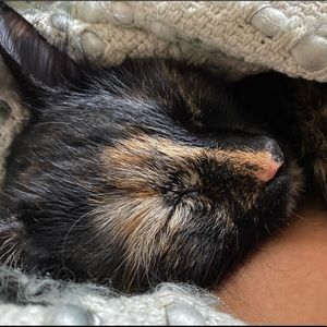 Meet your Posher, Olivia